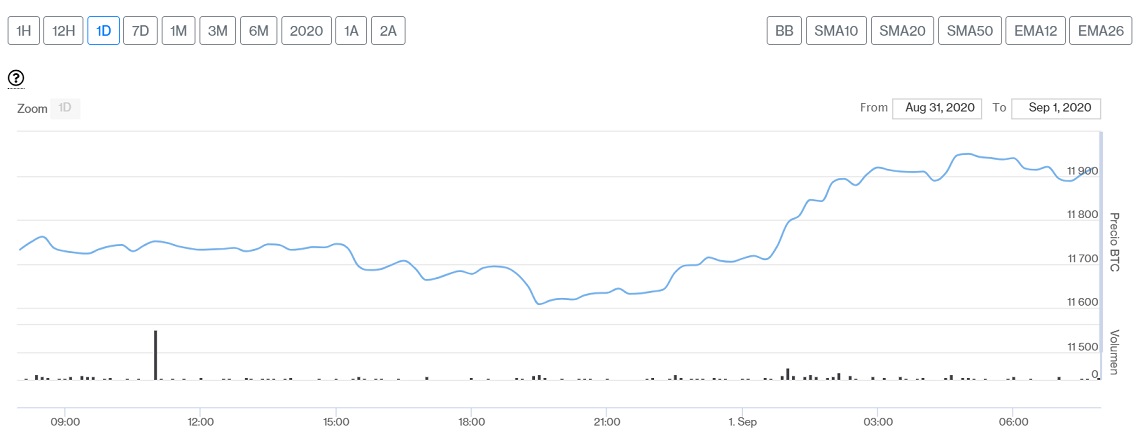 Evolución precio de Bitcoin este 1 de septiembre. Imagen de CriptoMercados DiarioBitcoin