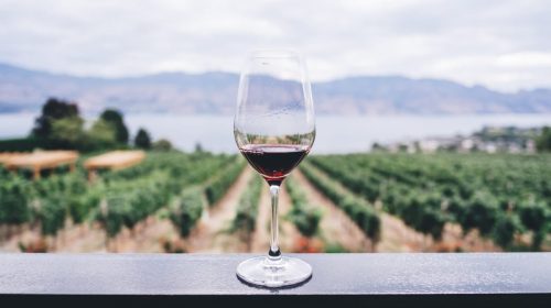 vino-unsplash
