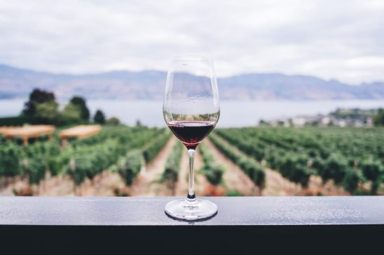 vino-unsplash