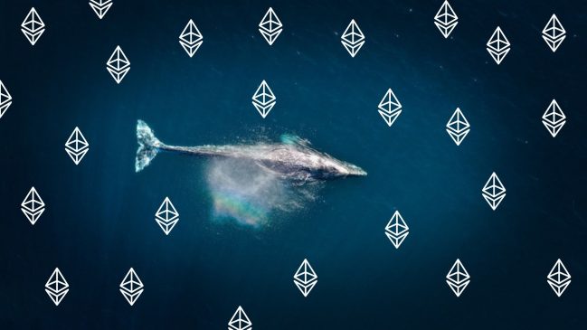 ballena-ether-unsplash-canva