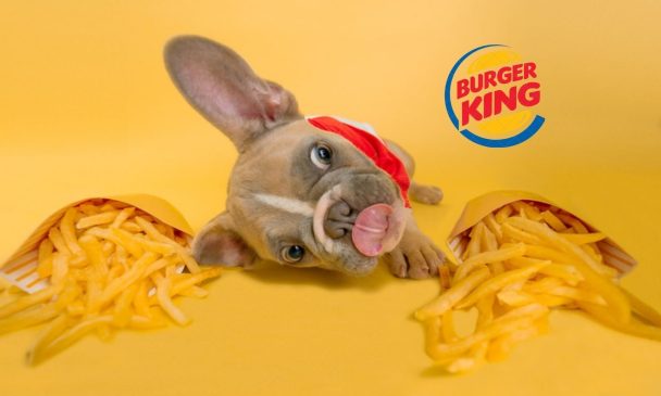 perro-BK-unsplash-canva-min