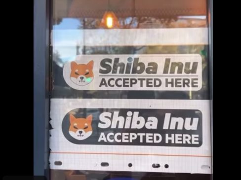 Shiba Inu