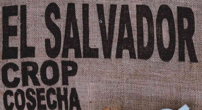 El salvador