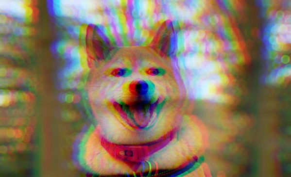 shib-metaverse unsplash