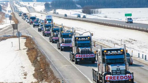 freedom convoy
