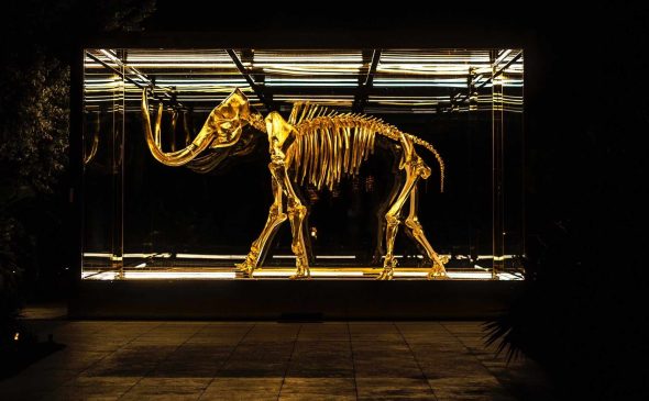 mamut