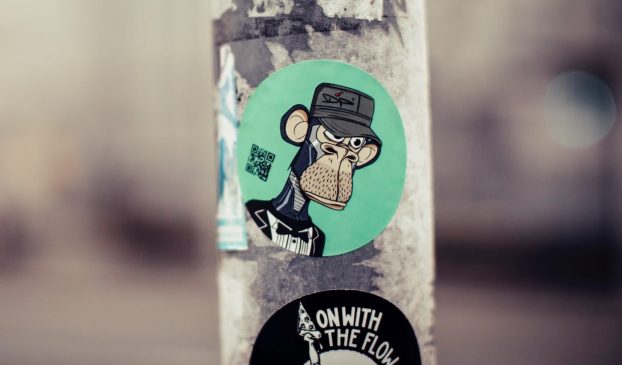 bored-ape-unsplash-