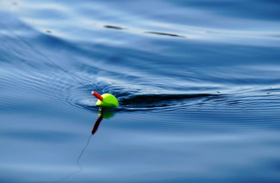 fishing-unsplash