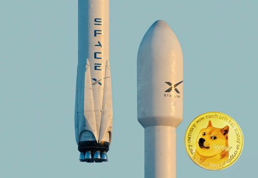 spacex doge unsplash canva