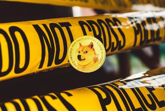 doge-crime-unsplash