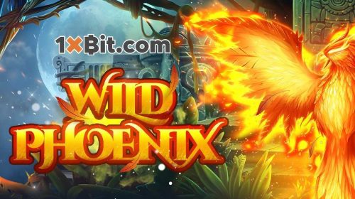 wild_phoenix_1xbit