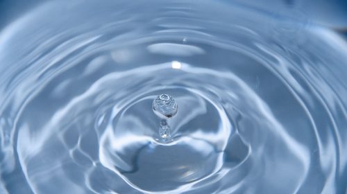 transparencia-unsplash