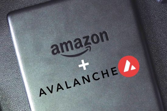 amazon + avalanche unsplash canva